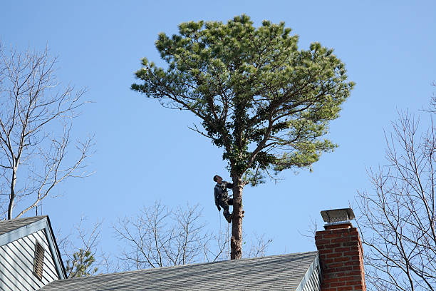 Lawn Irrigation Installation and Maintenance in High Point, NC